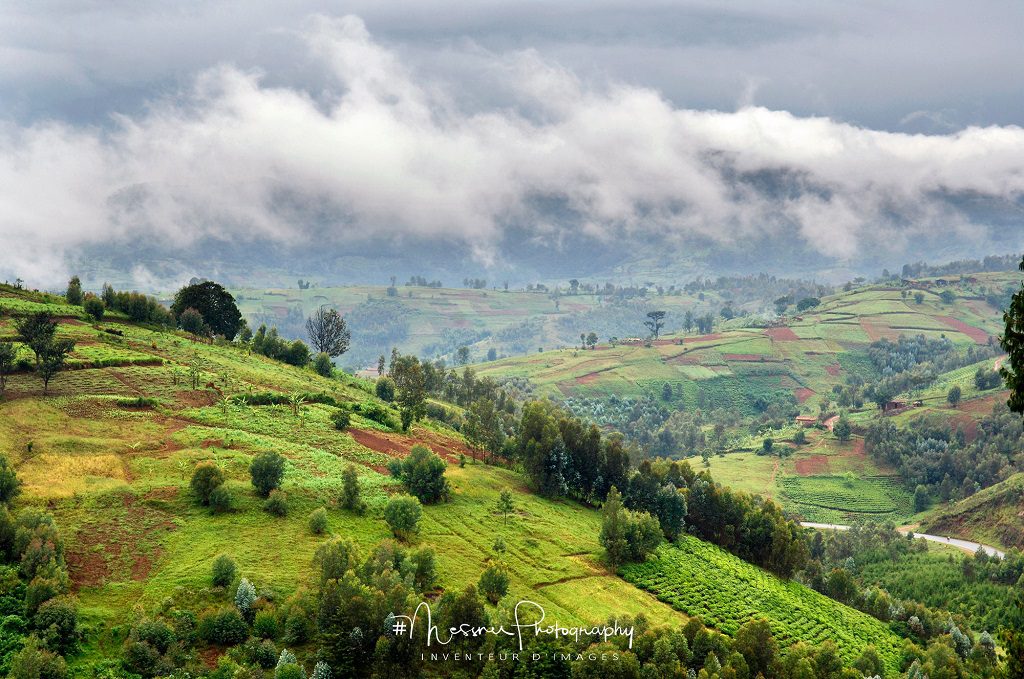 Les collines du Burundi dans la région de Banga