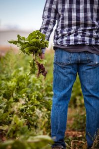 Agriculteur - @Unsplash