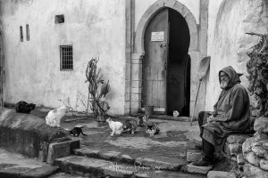 Autour des ruines de Chellah, Rabat @Messner Nicolas