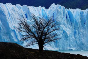 Patagonie (Argentine) @Romain Buisson