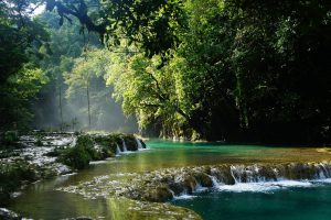 Semuc Champey (Guatemala) @Romain Buisson