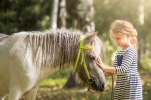 Istock @Elena Odareeva