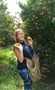 @Louisa, Cueilleuse de mandarines en Nouvelle-Zélande