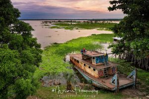 L'Amazone by Nicolas Messner