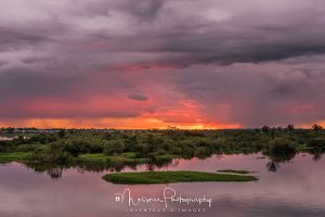 L'Amazone by Nicolas Messner