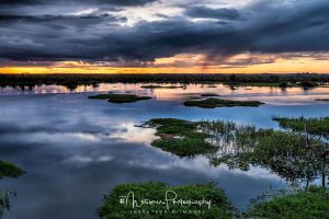 L'Amazone by Nicolas Messner