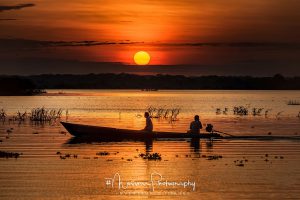 L'amazonie by Nicolas Messner