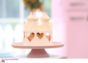 "Le gâteau d'anniversaire de mes rêves" de Nina METAYER