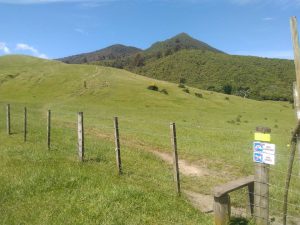 Mont Tauhara by Louisa