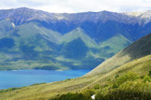 Lake Rotoiti by Romain