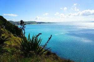 The Catlins Nouvelle-Zélande https://www.facebook.com/romain.supertramp.3?fref=ts