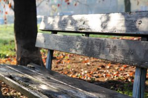 bench-1114117_1280