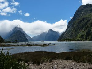 Milford Sounds